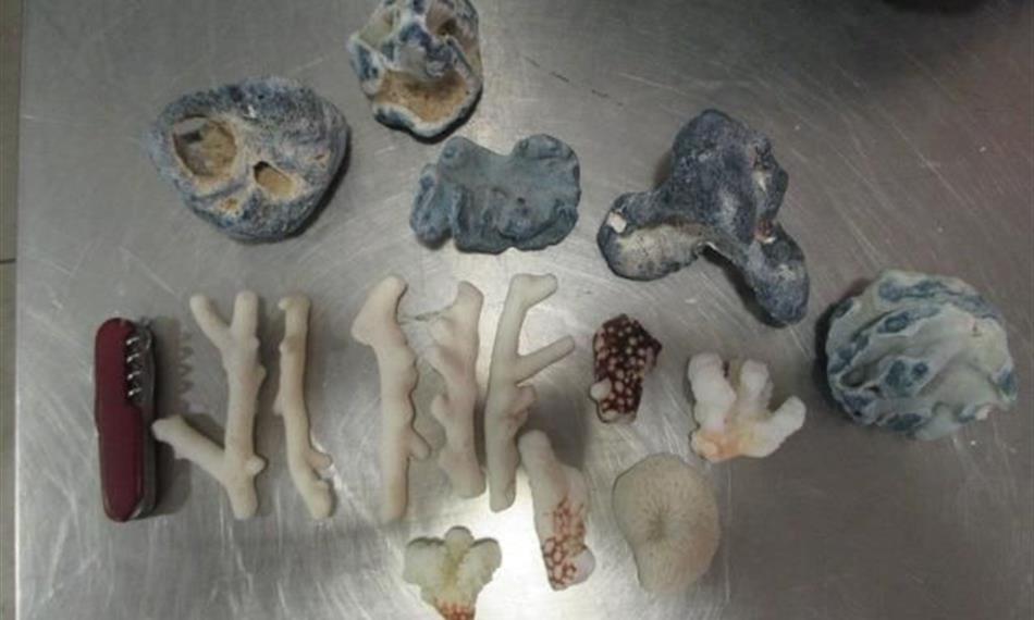 2017-10-16-1423foto 2.jpg